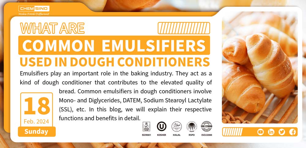 What Are Common Emulsifiers Used in Dough Conditioners